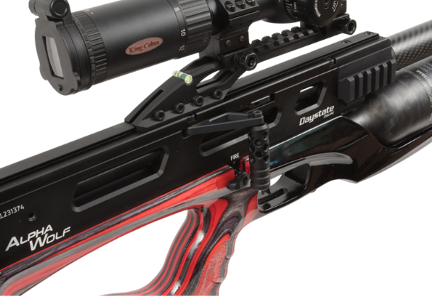 DAYSTATE ALPHA WOLF PERFORMANCE 22 Y 25